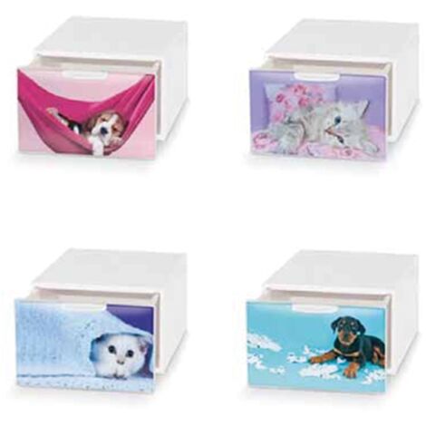 IPERBRIKO Qbox Domoliving Organizer-Schublade L15,5xP20xH10,5cm AUFMERKSAMKEIT Dieses Produkt wird vom Hersteller in zufällig ausgewählten Modellen und/oder Farben vertrieben. Es ist uns nicht möglich, ein best