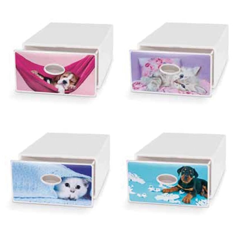 Domoliving - Qbox scatoall transporte tout 78x58x43,5 cm