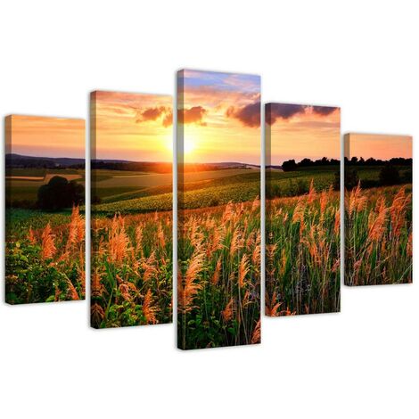 Quadri Quadro 5 pezzi Stampa su tela Prato fiorito al tramonto - 150x100