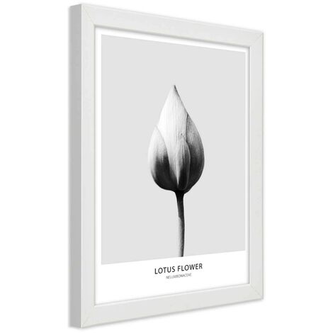 Quadro con cornice, Bocciolo di loto bianco - 30x45