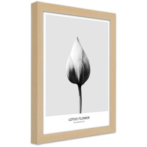 Quadro con cornice, Bocciolo di loto bianco - 30x45