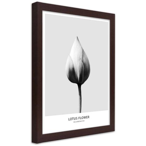 Quadro con cornice, Bocciolo di loto bianco - 60x90