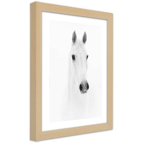 Quadro con cornice, Cavallo grigio - 20x30