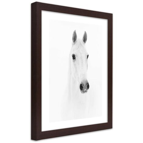Quadro con cornice, Cavallo grigio - 30x45