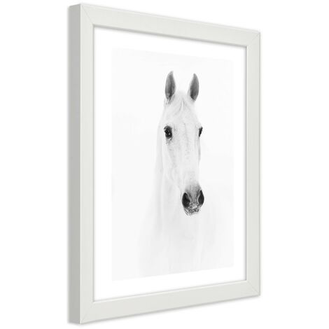 Quadro con cornice, Cavallo grigio - 30x45