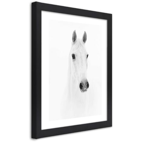 Quadro con cornice, Cavallo grigio - 40x60