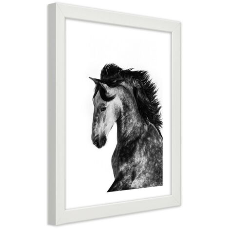 Quadro con cornice, Cavallo selvaggio - 60x90