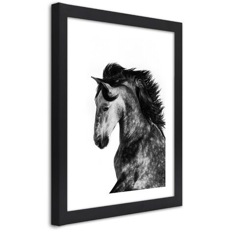 Quadro con cornice, Cavallo selvaggio - 60x90