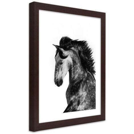 Quadro con cornice, Cavallo selvaggio - 60x90