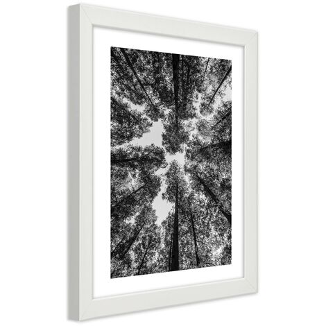 Quadro con cornice, Corone di alberi - 40x60