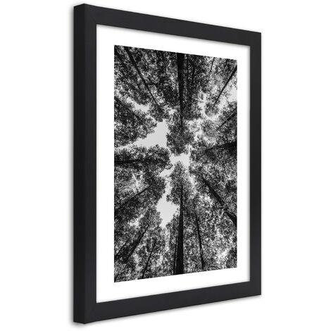 Quadro con cornice, Corone di alberi - 40x60