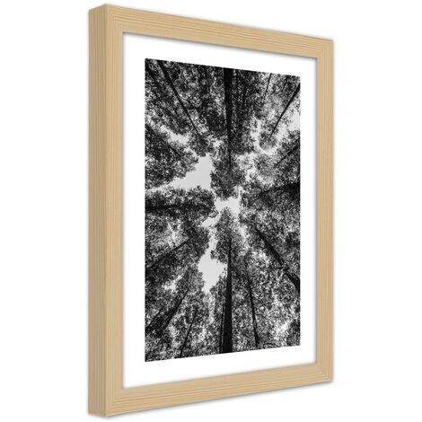 Quadro con cornice, Corone di alberi - 70x100