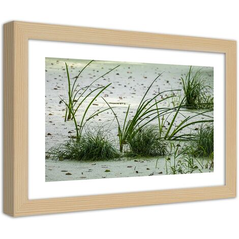 Quadro con cornice, Erbe sulla spiaggia - 30x20