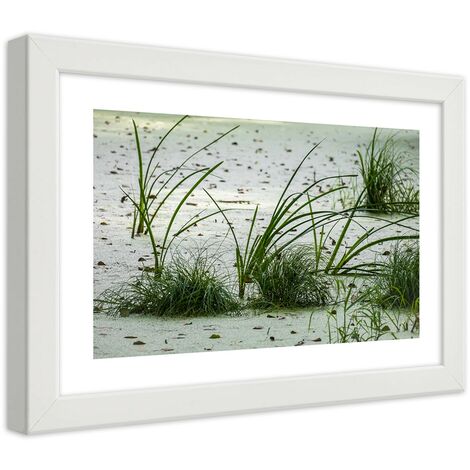 Quadro con cornice, Erbe sulla spiaggia - 60x40