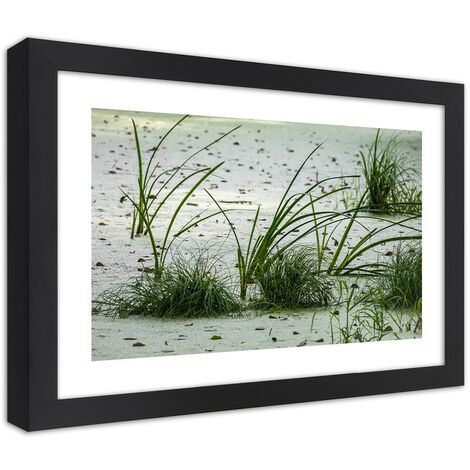 Quadro con cornice, Erbe sulla spiaggia - 90x60