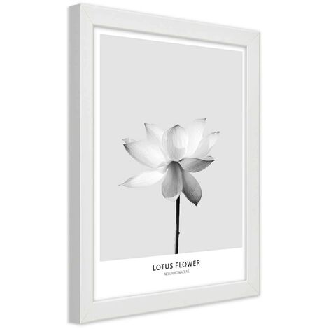Quadro con cornice, Fiore di loto bianco - 70x100