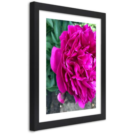 Quadro con cornice, Fiore grande rosa - 20x30