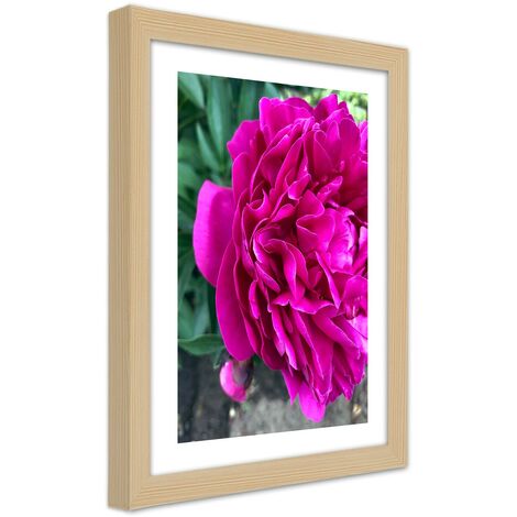 Quadro con cornice, Fiore grande rosa - 40x60