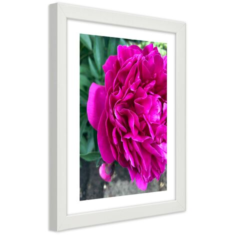 Quadro con cornice, Fiore grande rosa - 40x60