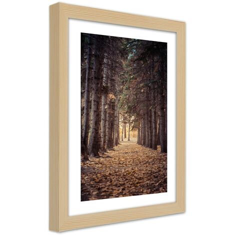 Quadro con cornice, Foresta in autunno - 40x60