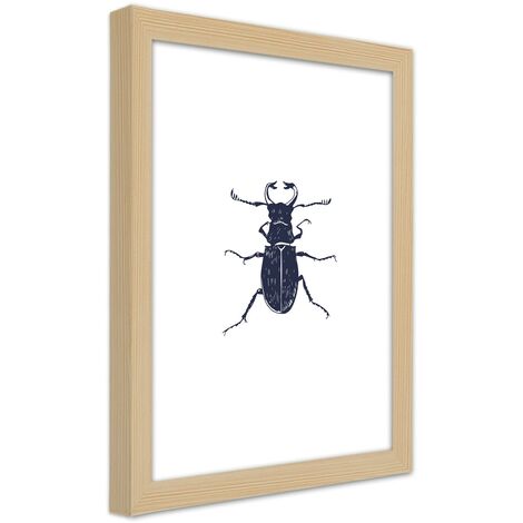 Quadro con cornice, Gallo nero - 20x30