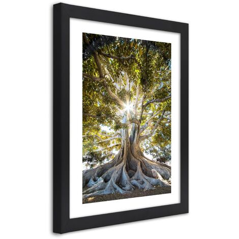 Quadro con cornice, Grande albero esotico - 20x30