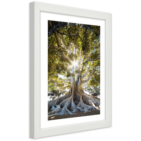 Quadro con cornice, Grande albero esotico - 70x100