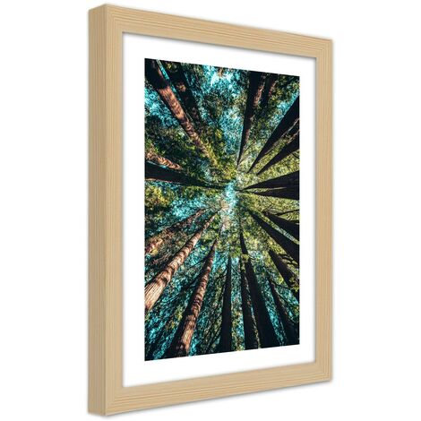 Quadro con cornice, I rami degli alberi alti - 20x30