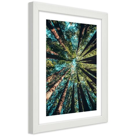 Quadro con cornice, I rami degli alberi alti - 30x45