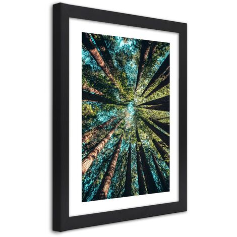 Quadro con cornice, I rami degli alberi alti - 30x45