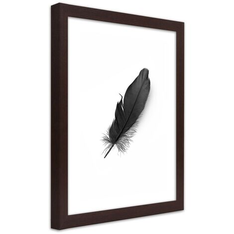 Quadro con cornice, Piuma nera - 40x60