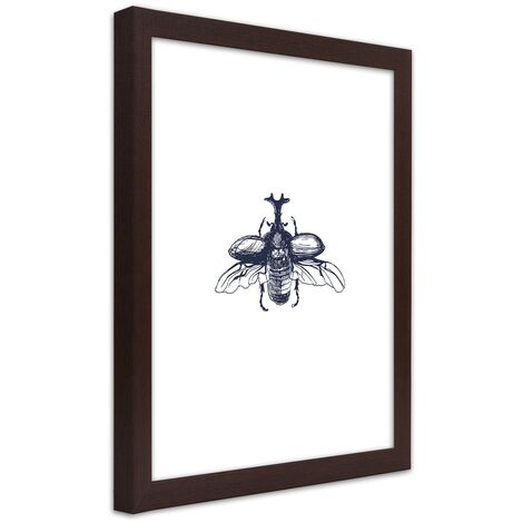 Quadro con cornice, Scarabeo volante - 20x30