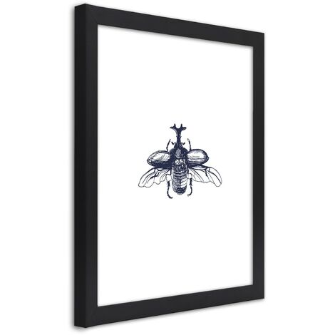 Quadro con cornice, Scarabeo volante - 30x45