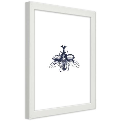 Quadro con cornice, Scarabeo volante - 40x60