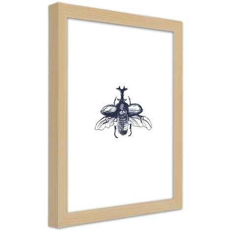 Quadro con cornice, Scarabeo volante - 70x100