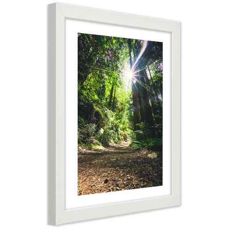 Quadro con cornice, Sentiero nel fitto della foresta - 20x30