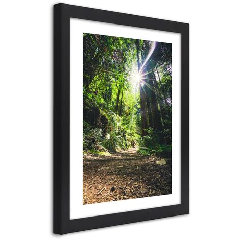 Quadro con cornice, Sentiero nel fitto della foresta - 20x30