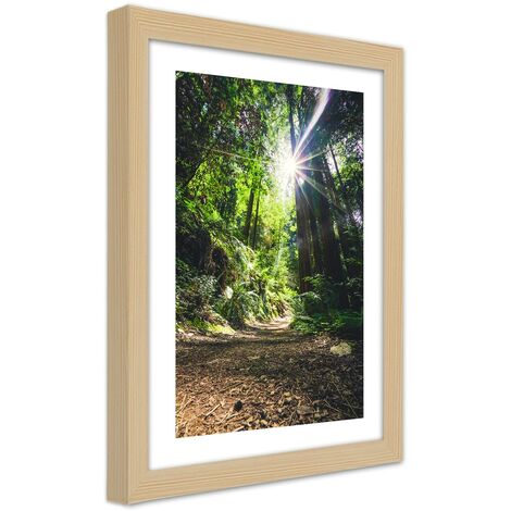 Quadro con cornice, Sentiero nel fitto della foresta - 20x30
