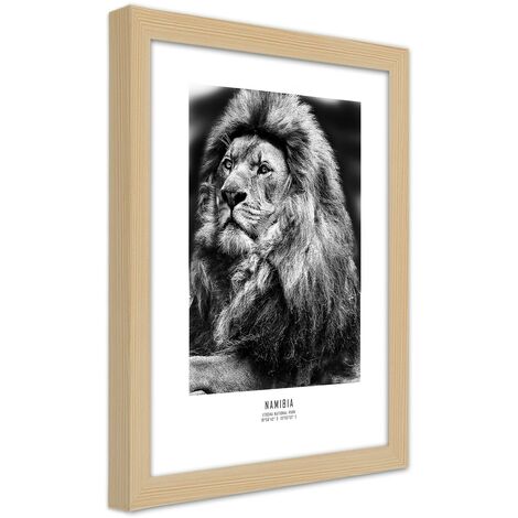 Quadro con cornice, Simbolo dell'Africa - 30x45
