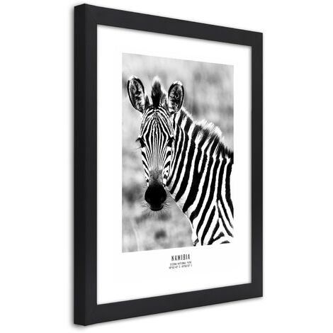 Quadro con cornice, Una zebra curiosa - 60x90