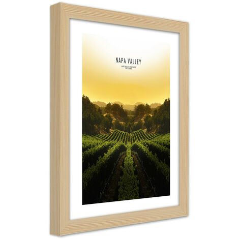 Quadro con cornice, Vigneti nella Napa Vallley - 30x45