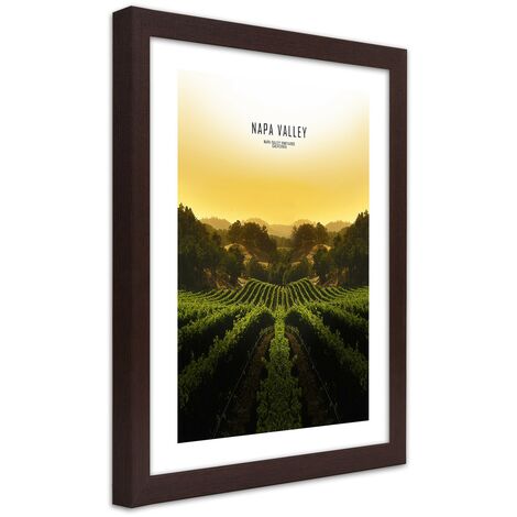 Quadro con cornice, Vigneti nella Napa Vallley - 40x60