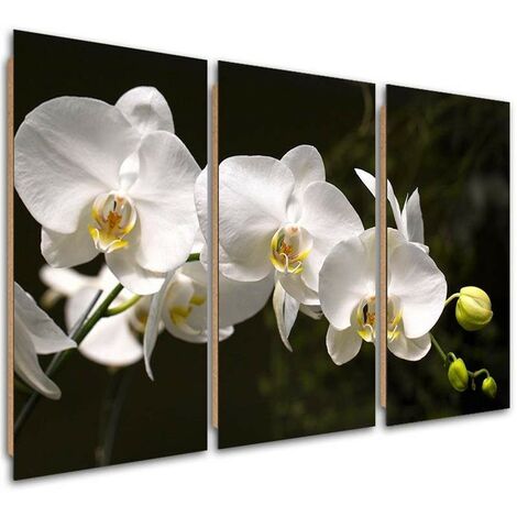 Quadro deco panel 3 parti, Orchidea bianca su sfondo nero - 90x60