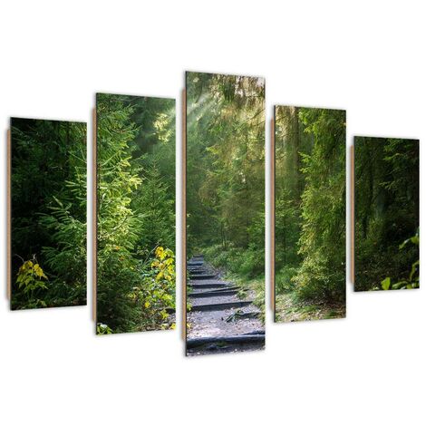 Quadro deco panel 5 parti, Sentiero in una foresta verde - 150x100