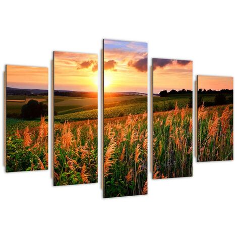 Quadro deco panel 5 parti, Tramonto su un prato - 100x70