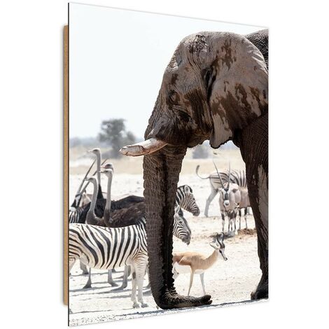 Quadro deco panel, Animali della savana - elefanti zebre struzzi antilopi - 40x60
