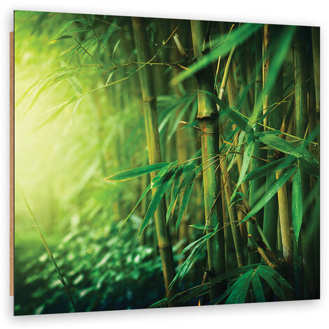 Quadro deco panel, Bamboo nella giungla - 30x30