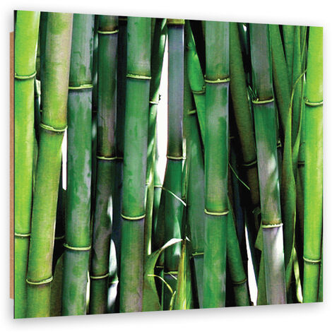 Quadro deco panel, Bamboo verde - 40x40