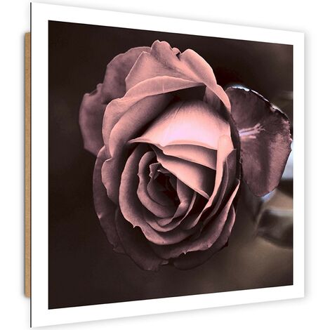 Quadro deco panel, Bella rosa - 30x30