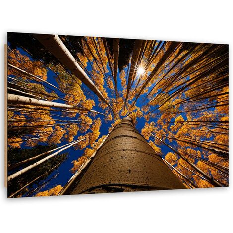 Quadro deco panel, Corone di alberi - 90x60